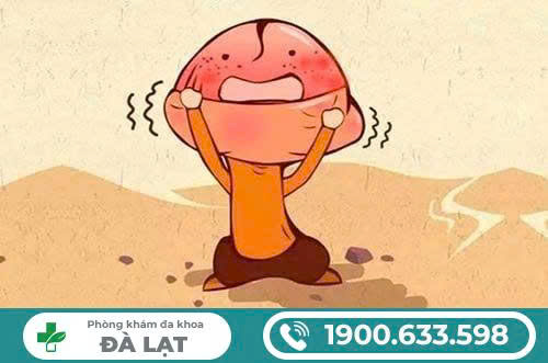 Hình ảnh minh họa